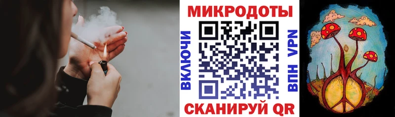 Псилоцибиновые грибы Psilocybe  Мещовск 